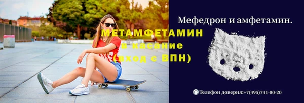 гидра Арсеньев