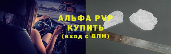 гидра Арсеньев