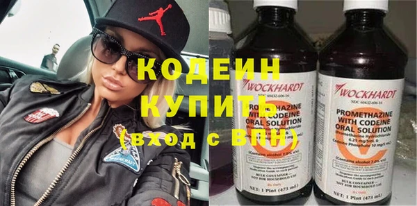гидра Арсеньев