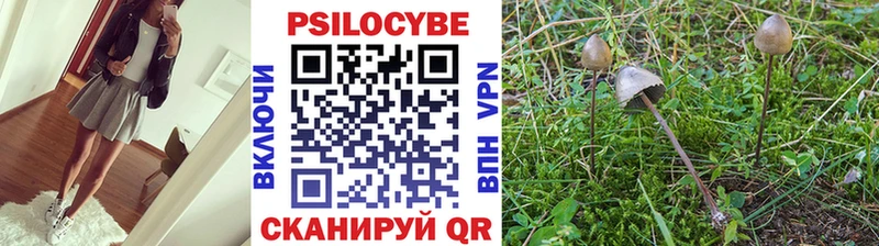 hydra маркетплейс Камышлов Галлюциногенные грибы мицелий сколько стоит